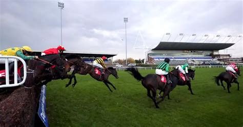 bangor horse racing results|Horse Racing Results .